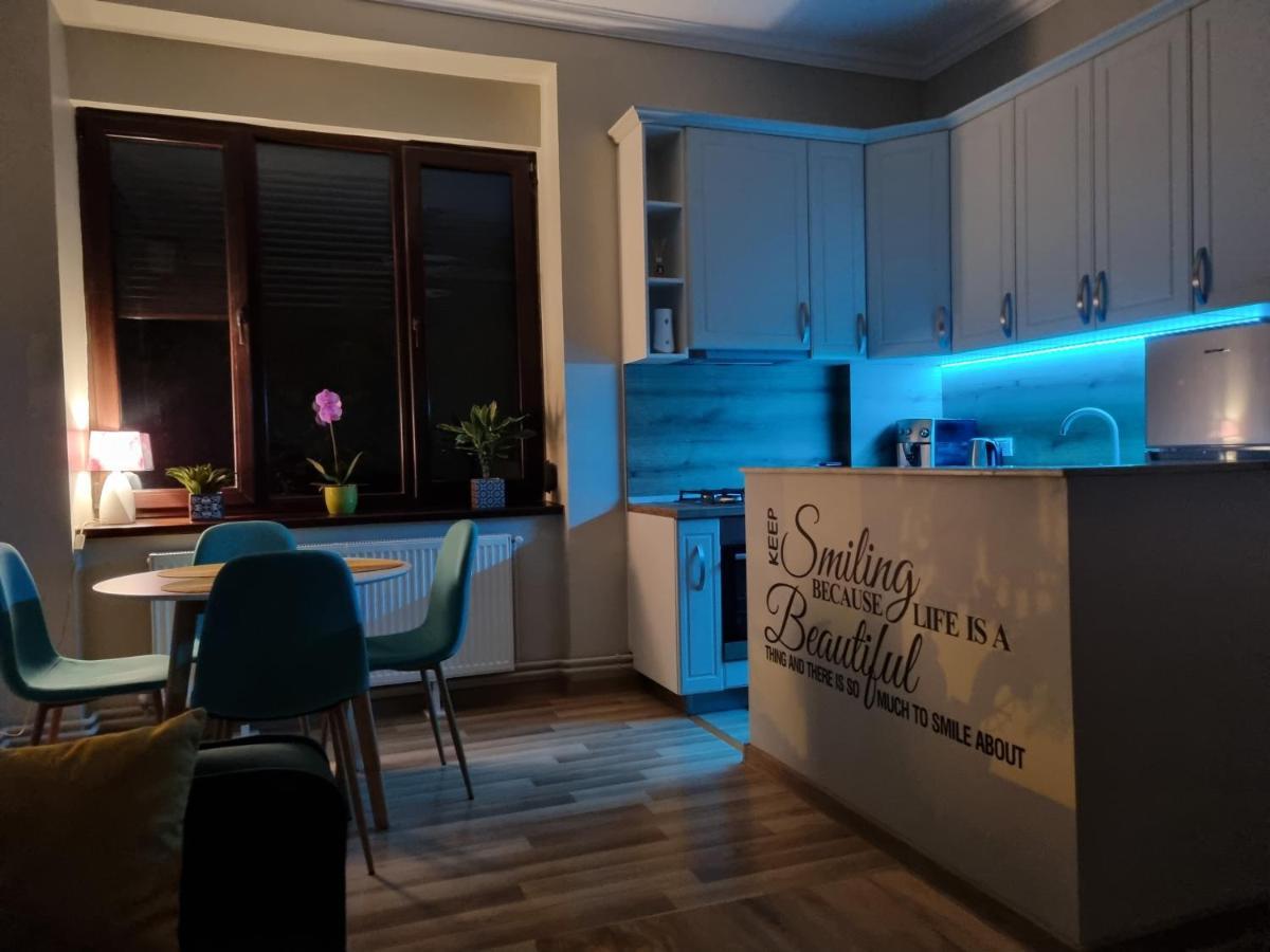 City Inn Premium Apartment 2 Τιμισοάρα Εξωτερικό φωτογραφία